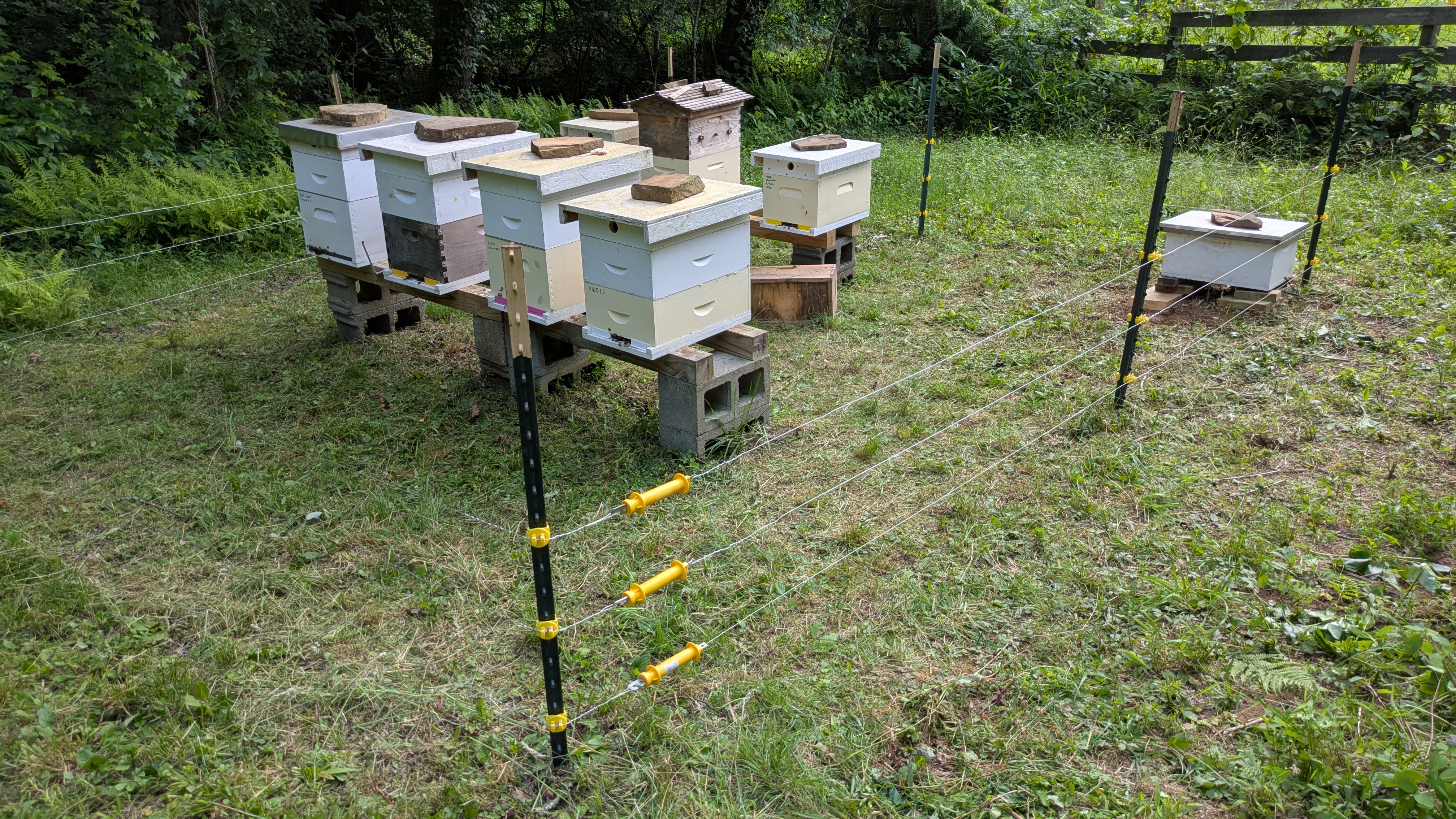 Beehives in the field